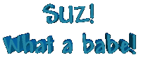 suz2.gif (4325 bytes)